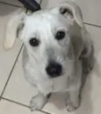 Coragem, 11 meses