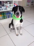Menino