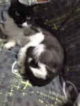 Mia