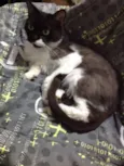 Mia