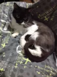 Mia