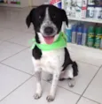 Menino