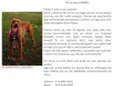 Vulcão