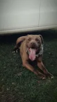 Vulcão