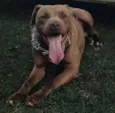 Vulcão