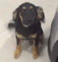 Fru