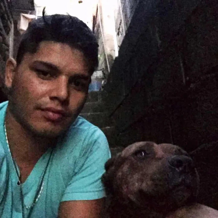 Cachorro ra a Pit-Bull idade 4 anos nome Falcão