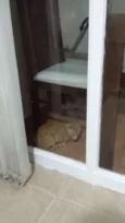 Biz