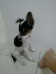 Bebê
