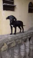 TINA