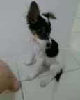Bebê