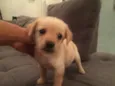 kika