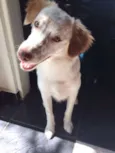Billy