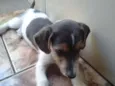 lala