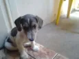 lala