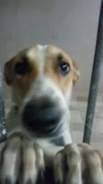 Bob