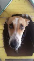 Bob