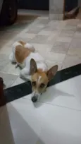 Bob