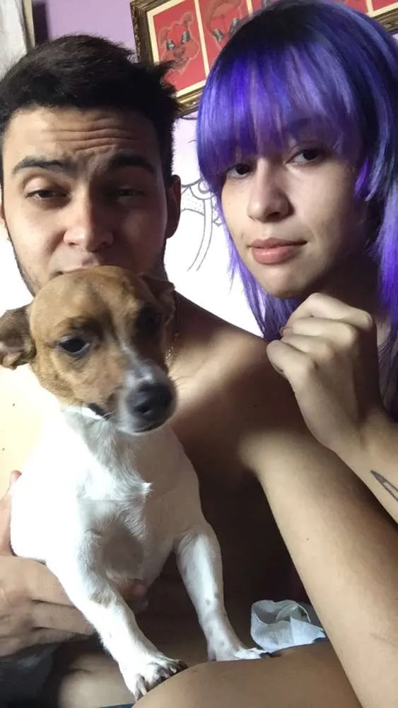 Cachorro ra a Pinscher idade 3 anos nome julie GRATIFICA