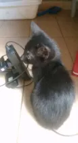 Sem nomes ainda