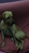 Kiara