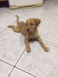 Mel