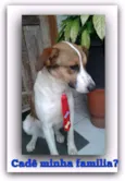 Não tem