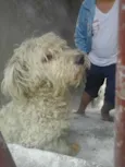 Não sei
