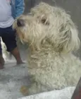 Não sei
