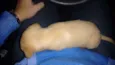 Porcha