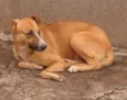 nao sei