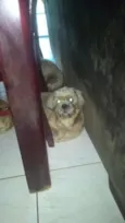 Jose