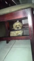 Francisco
