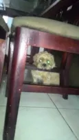 Francisco