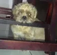 Francisco
