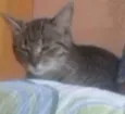 Mimi