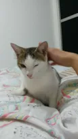 Floriano