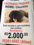 Chuchim GRATIFICA