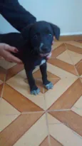 Ainda não tem