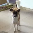 Lucy