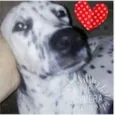 Estrela