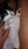 Kiara