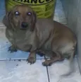 Mel