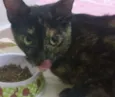 MALÚ
