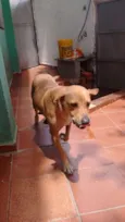 Princesa 