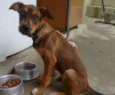 Raj