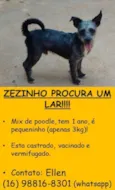 Zezinho