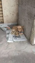 ----