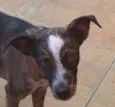 Mel
