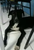 Negão